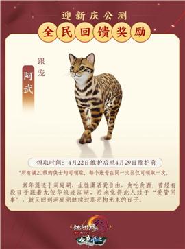 精品王者天龙八部私服